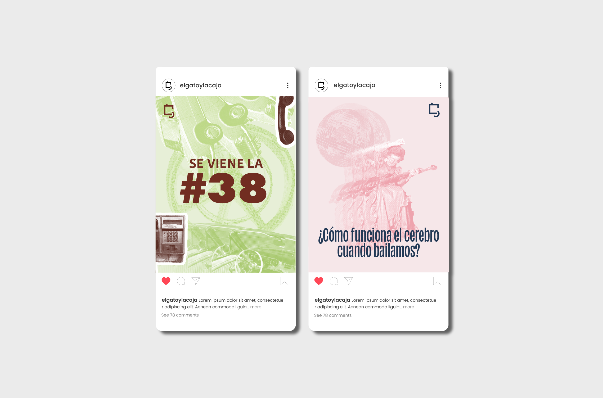 El Gato y La Caja — Feed — 1